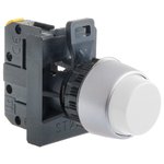 Complete raised pushbutton W/AW - Assembly