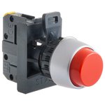 Complete raised pushbutton W/AW - Assembly