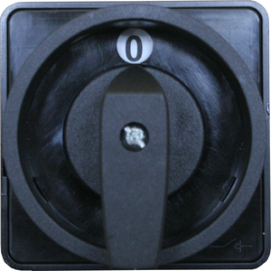  Front III SK100-1410 für die Ausführungen D...   (mit Hängeschloss abschließbar,  eingebaut direkt an der Tür  mit mechanischer Verriegelung)  - Produktfoto