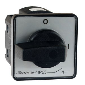 SK16G P Cam switches, front mounted - Product picture