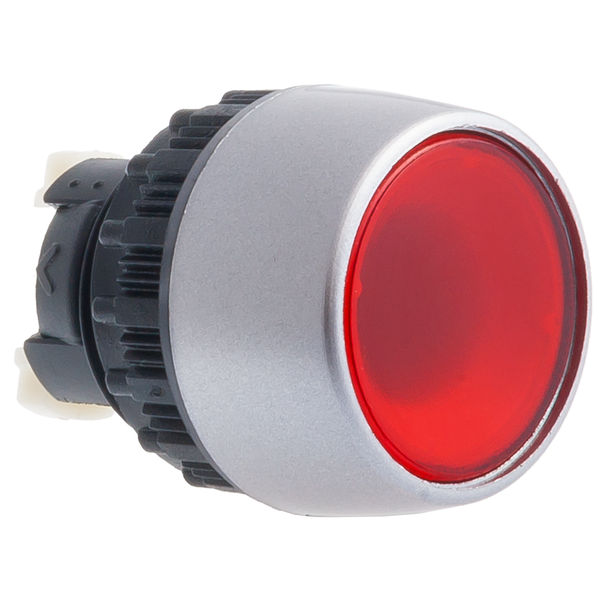 Leuchtdrucktaster mit flachem Druckknopf KL/AKL - Produktfoto